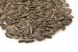 Unsalted sunflower seeds